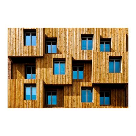 1x Collection Open Edition Canvas Giclee :"Windows"