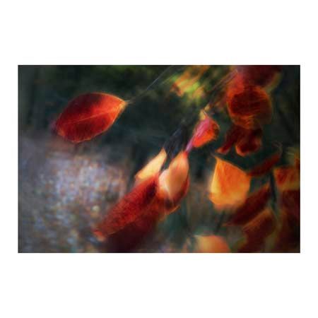 1x Collection Open Edition Canvas Giclee :"Windy Light" 1x Collection Open Edition Canvas Giclee :"Windy Light"