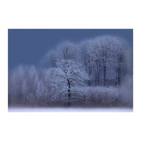 1x Collection Open Edition Canvas Giclee :"Winter"
