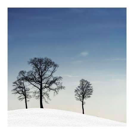 1x Collection Open Edition Canvas Giclee :"Winter Haiku"