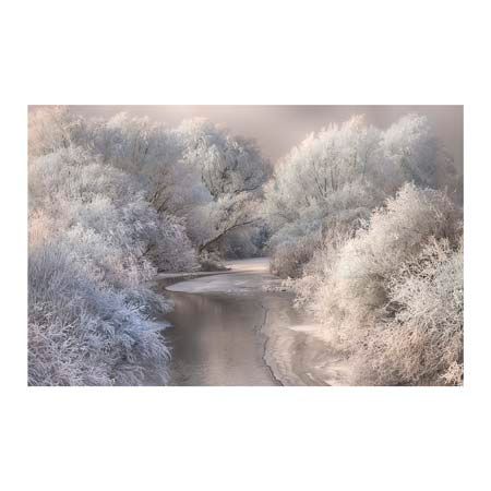 1x Collection Open Edition Canvas Giclee :"Winter Song"
