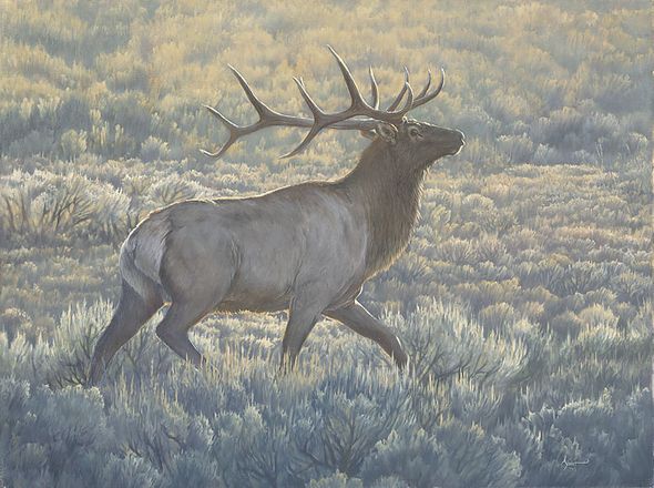 Aaron Yount Hand Signed and Numbered Fine Art Canvas Gicl&eacute;e:"Morning Run"