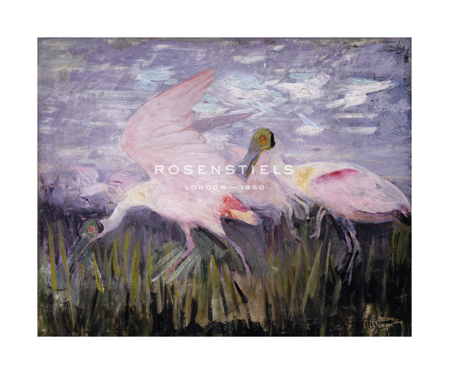 Abbott Handerson Thayer Hand Numbered Limited Edition Print on Paper :"Roseate Spoonbills"