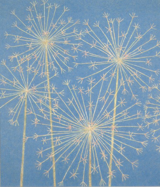 Abigail Mclellan Handsigned & Numbered Limited Edition Giclee on Paper:"Allium"