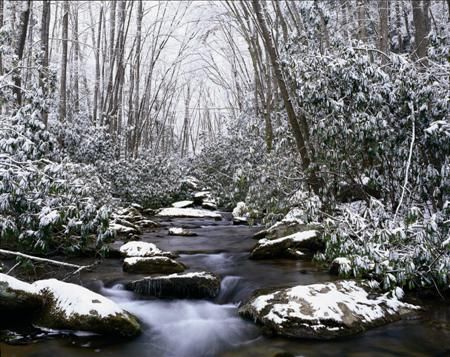 Adam Jones Open Edition Print:"First Snow"