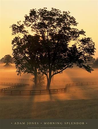 Adam Jones Open Edition Print:"Morning Splendor"