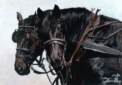 Adeline Halverson Limited Editions :"AT EASE"
