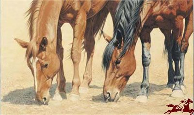 Adeline Halverson Limited Editions :"FOREVER FRIENDS"