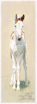 Adeline Halverson Limited Editions :"LEGS"