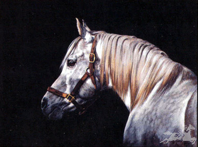 Adeline Halverson Limited Editions :"OUT OF THE SHADOWS"