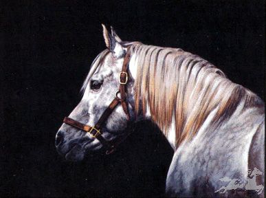 Adeline Halverson Limited Editions :"OUT OF THE SHADOWS"