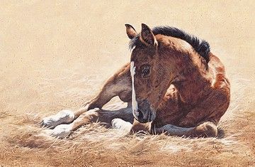 Adeline Halverson Limited Editions :"RISE AND SHINE"