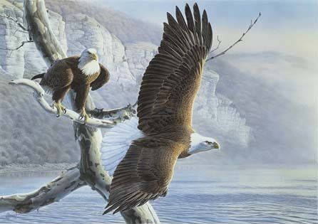 Al Agnew Artist Signed and Numbered Limited Edition Canvas:"American Odyssey"