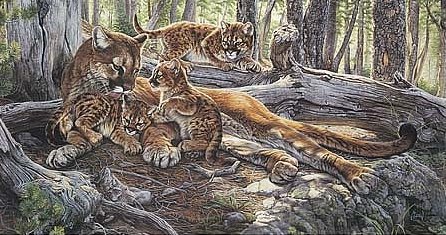 Al Agnew Handsigned and Numbered Limited Edition Print:"Child's Play"