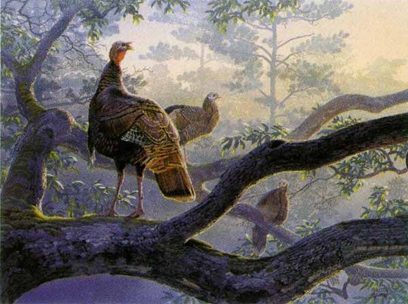 Al Agnew Handsigned and Numbered Limited Edition Print: "Out on a Limb"