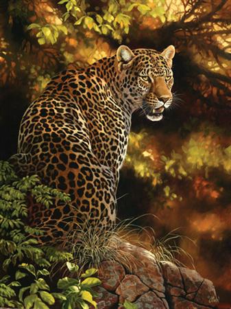 Al Agnew Handsigned & Numbered Limited Edition Enhanced Giclee on Canvas:"Lightness of Being"