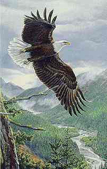 Al Agnew Limited Edition Print: "Soaring Spirit"