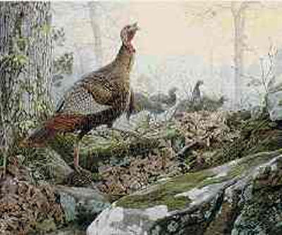 Al Agnew Limited Edition Print: "Spring Beauties"