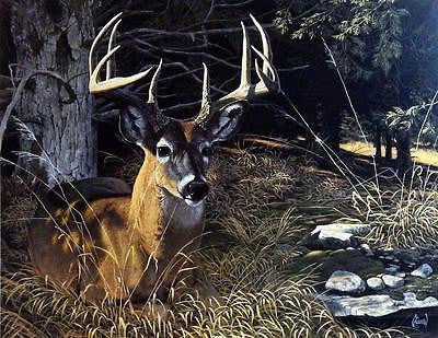 Al Agnew Print-Signed and Numbered:""Southern Exposure""