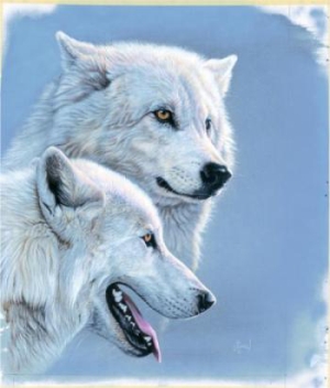 AL AGNEW Secondary Market Art: "ARCTIC WOLVES"