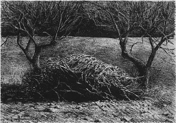 Alan Bateman Limited Edition Lithograph:"Orchard"