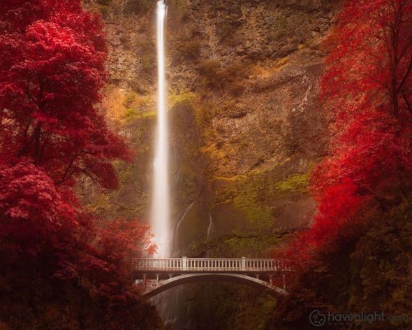 Alan Fullmer Fine Art Canvas Giclee: "Multnomah Falls"