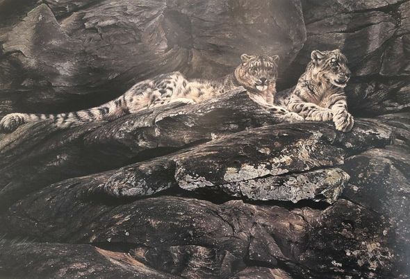 Alan M. Hunt Handsigned and Numbered Limited Edition Paper Signed and Numbered:"Snow Leopard"