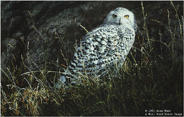 Alan M. Hunt Handsigned and Numbered Limited Edition Paper Signed and Numbered:"Arctic Knight-Snowy Owl" *ALL