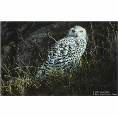 Alan M. Hunt Handsigned and Numbered Limited Edition Paper Signed and Numbered:"Arctic Knight-Snowy Owl" *ALL