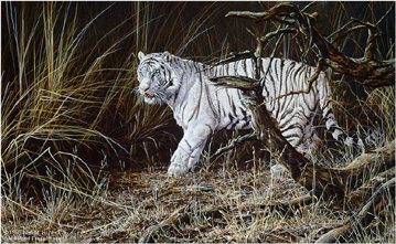 Alan M. Hunt Handsigned and Numbered Limited Edition Paper Signed and Numbered:"Out From Cover"