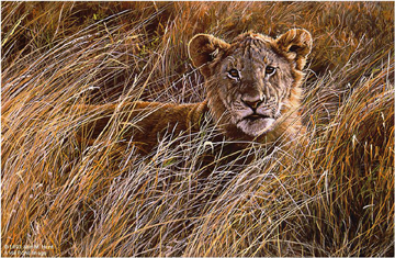 Alan M. Hunt Handsigned and Numbered Limited Edition Paper Signed and Numbered:"Serengeti Prince"