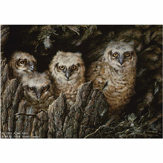 Alan M. Hunt Handsigned and Numbered Limited Edition Paper Signed and Numbered:"Young Tufts-Eagle Owlets"