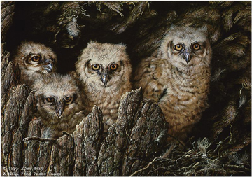Alan M. Hunt Handsigned and Numbered Limited Edition Paper Signed and Numbered:"Young Tufts-Eagle Owlets"