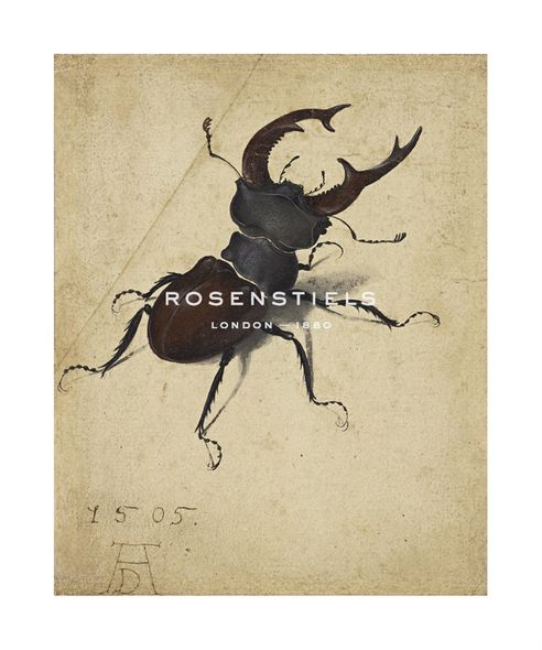 Albrecht Durer Hand Numbered Limited Edition Print on Paper :"Stag Beetle, 1505"