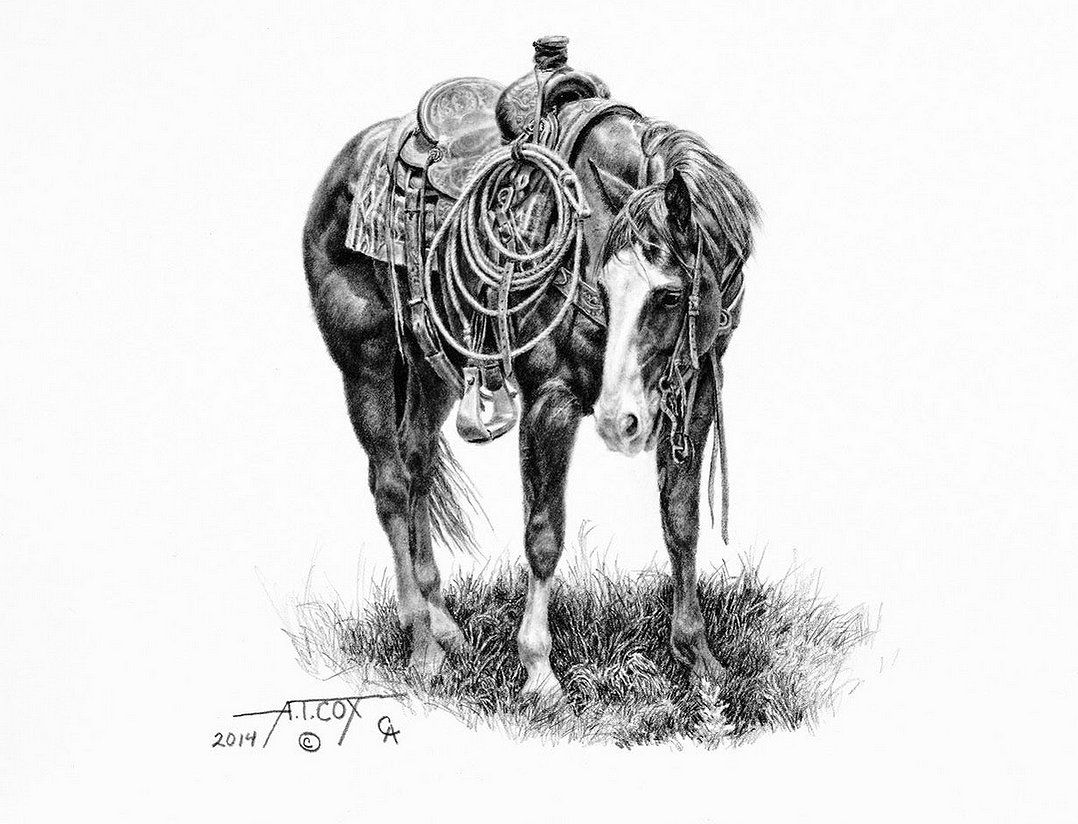 Tim Cox Artist Proof Signed Limited Edition Canvas Giclee:"Monte"