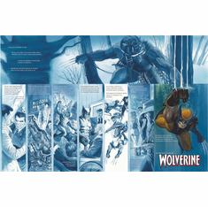 Alex Ross  Limited Edition Artist Proof Print :"Origins: Wolverine"