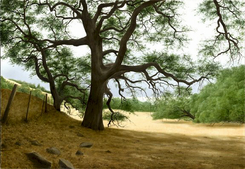 Alexander Volkov Handsigned and Numbered Collectors Editions Giclee on Canvas: "California Oaks"