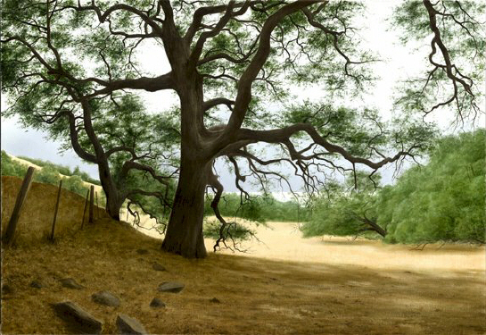 Alexander Volkov Handsigned and Numbered Collectors Editions Giclee on Canvas: "California Oaks"