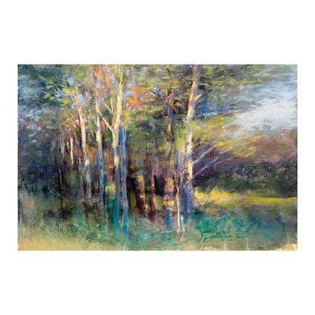 Amanda Houston Open Edition Canvas Giclee :"Grove" Amanda Houston Open Edition Canvas Giclee :"Grove"