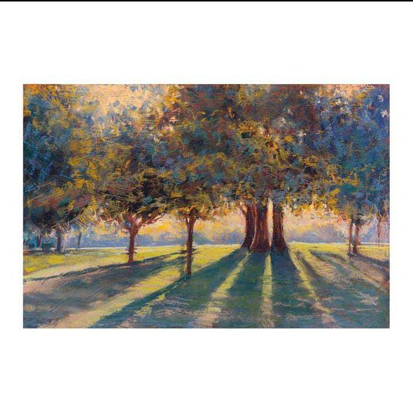 Amanda Houston Open Edition Canvas Giclee : "Shadow Play 2"