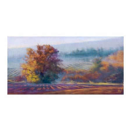 Amanda Houston Open Edition Canvas Giclee :"Vineyard Mist"