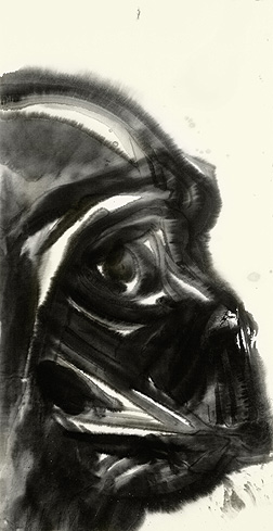Amano Limited Edition Star Wars Giclee on Paper:"Darth Vader" Amano Limited Edition Star Wars Giclee on Paper:"Darth Vader"