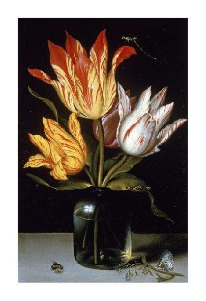 Ambrosius Bosschaert Fine Art Open Edition Gicl&eacute;e:"Tulips in a Glass Vase"