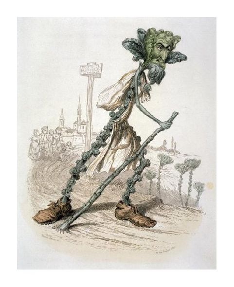 Amedee Varin Fine Art Open Edition Gicl&eacute;e:"Brussels Sprouts-Historic Persons in Brabantle"