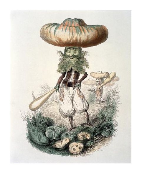 Amedee Varin Fine Art Open Edition Gicl&eacute;e:"Cucurbitus"