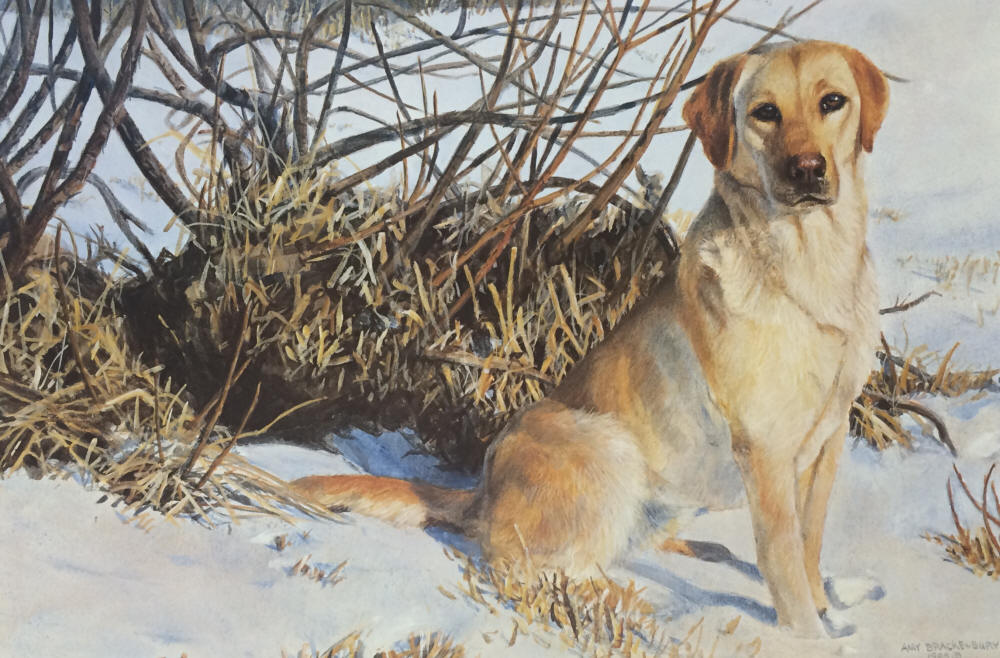 Amy Brackenbury Signed by the Artist Limited Edition Paper Lithograph:"Chilly Dog"