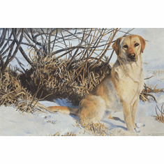 Gallerydirectart