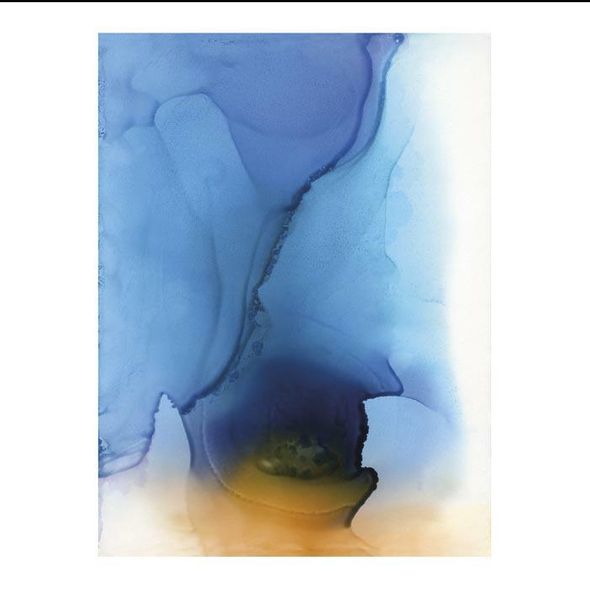 Andrea Pramuk Limited Canvas Giclee : "Swallow"