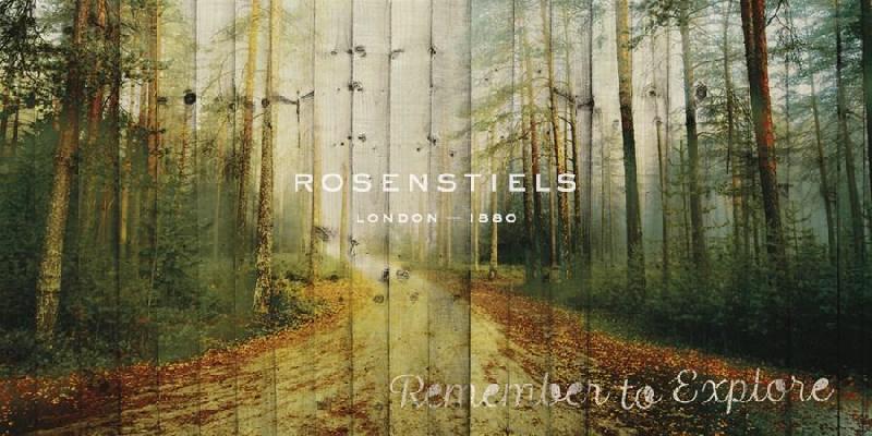 Andreas Stridsberg 48 x 24 in. Open Giclee Canvas:"Remember To Explore"