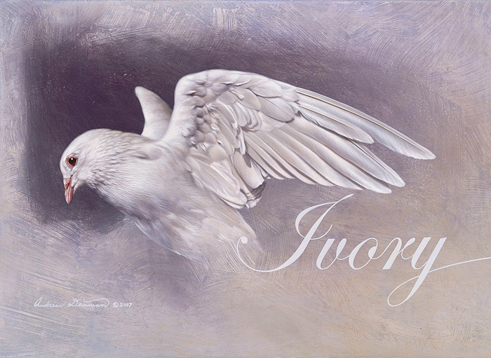 Andrew Denman Hand Signed and Numbered Limited Edition Gallery Wrap Canvas Giclee:"Ivory"